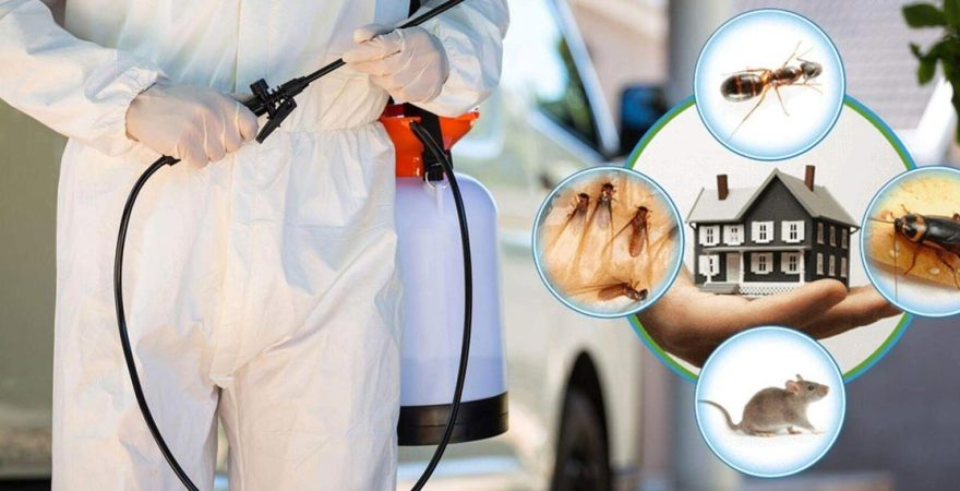 Elmadağ Böcek İlaçlama