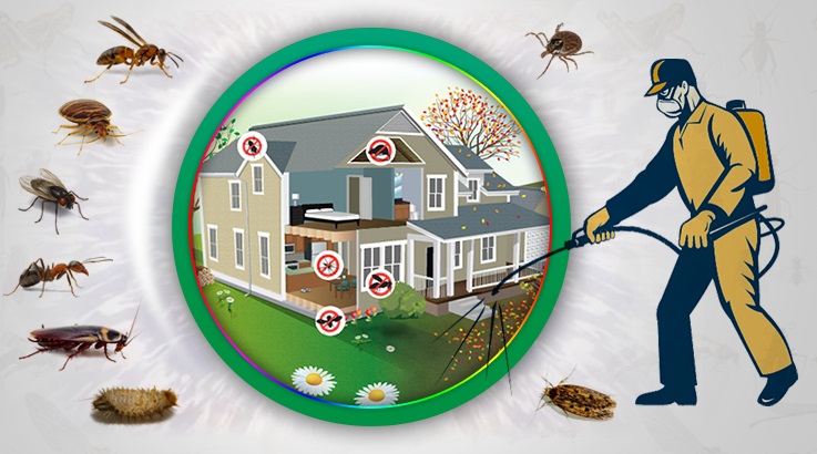 Elmadağ Böcek İlaçlama