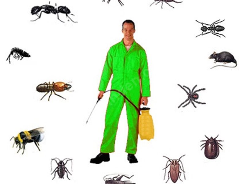 Elmadağ Böcek İlaçlama